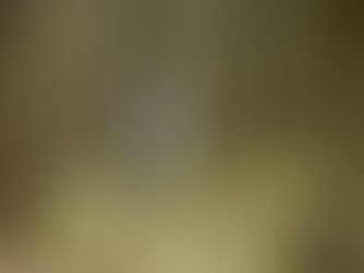 번아웃, 스트레스관리 극복 97% 서귀포치유의숲 산림치유·명상·차담으로 채운 제주해양경찰 웰니스 힐링프로그램 만족도 9.8점!