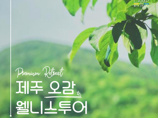웰니스 여행의 정석! 3박 4일 프리미엄 리트릿과 단체 관광 코스 추천 (제주 오감 웰니스캠프 투어)