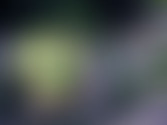 제주감귤농장촬영 / 쇼핑몰상품촬영, 스마트스토어 홈페이지 제작