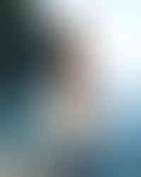 NJFJ0284