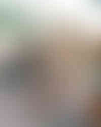 NJFJ9344
