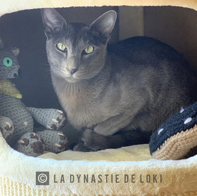 Miniature : Mr Loki