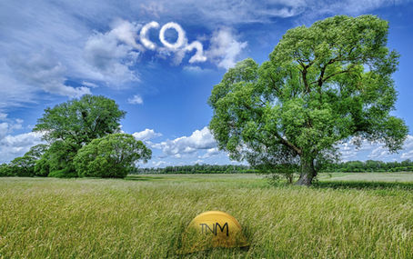 Exploring the Role of CDM Regulations in Driving Decarbonisation in Architecture.