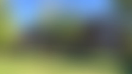 Going Back, Moving Forward