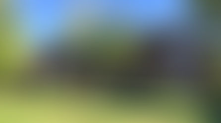 Going Back, Moving Forward