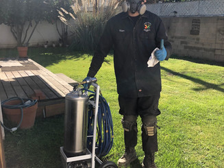 Encino's Best Termite Solutions Team