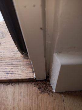 Preventative Termite Treatments