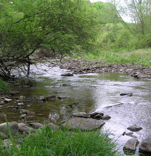 Chautauqua Creek 15.JPG