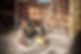 GettyImages-813520442.jpg