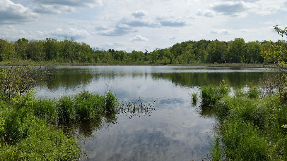 Cassadaga Lakes 2.jpg