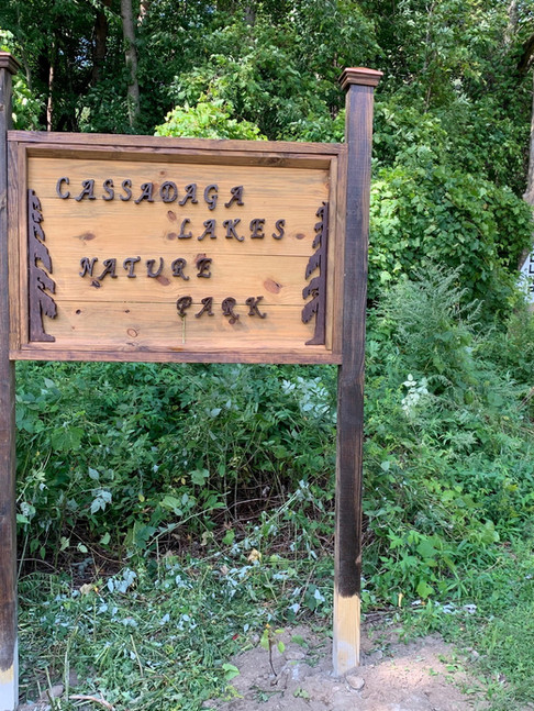 Cassadaga Lakes 8.jpg