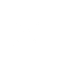 dUALING PAINT BRUSHES.png