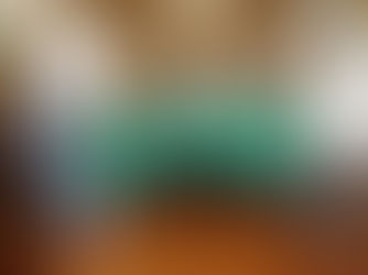 Anuncia Mauricio Kuri rescate del Zoológico WameruÂ