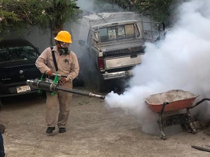 Exhorta SESA a la población a ejecutar acciones para combatir el dengue