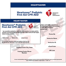 Heartsaver Ped First Aid, CPR, AED