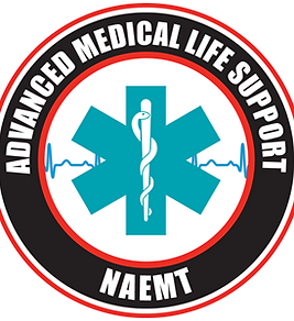 AMLS Logo.png