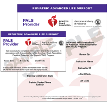 PALS Provider