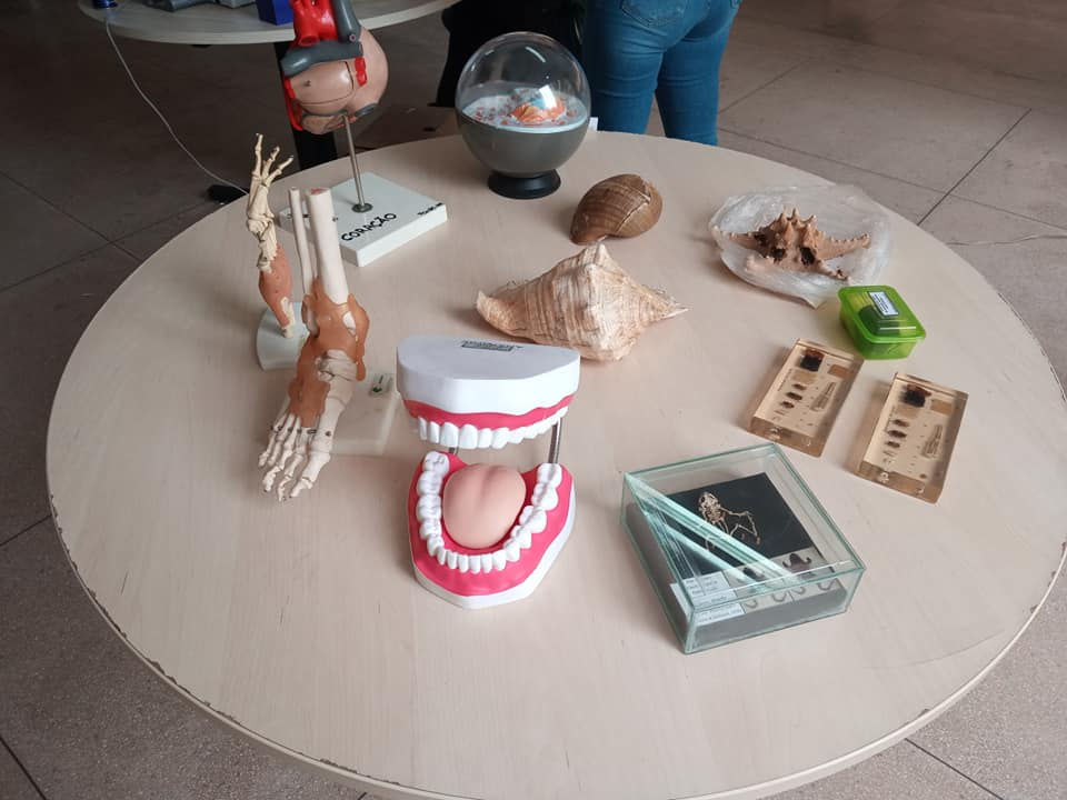 312263958_491032813046813_2172147686031558721_n