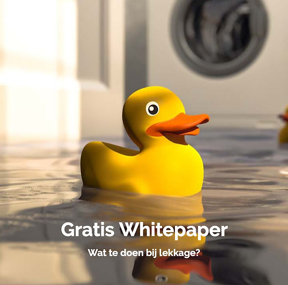 Lekkende badkamer_edited_edited_edited.jpg