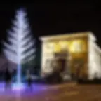 Glow Tree Milwaukee 6