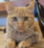 20251127_075745.jpg