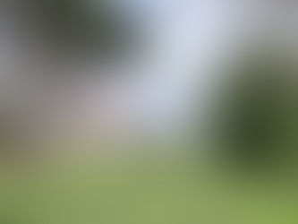 Exclusivité ! Maison sur sous-sol avec 4 chambres et bureau