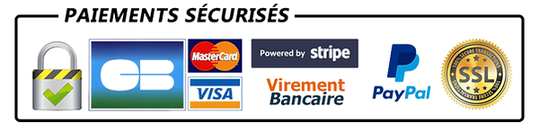 paiements-s%C3%A9curis%C3%A9s_edited.png