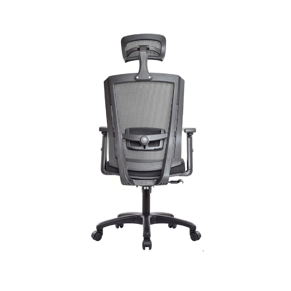 Miniatura: Silla Delphi 2 Presidente SYNCRO NY -E