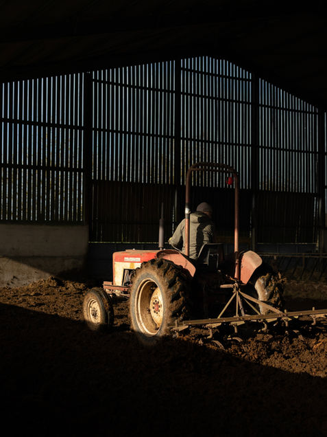 How UK funders can strengthen resilience in food and farming