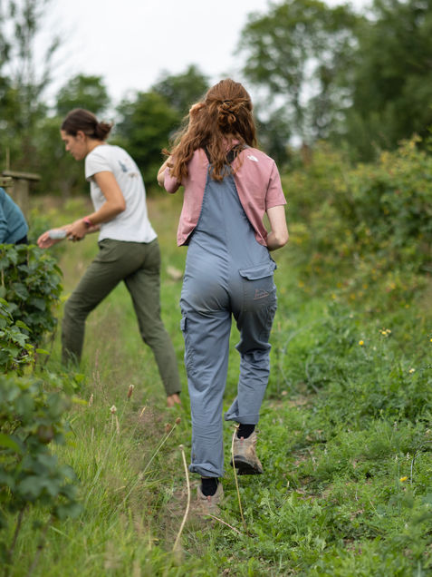 Reflections for Funders Considering a Field-Building Approach