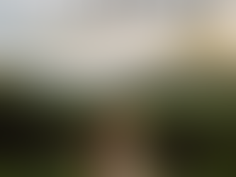      “Mas esta semana será diferente!”