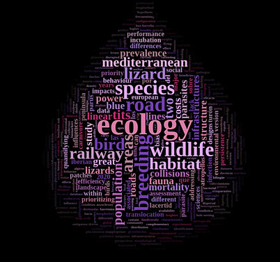 wordcloud2_edited.jpg