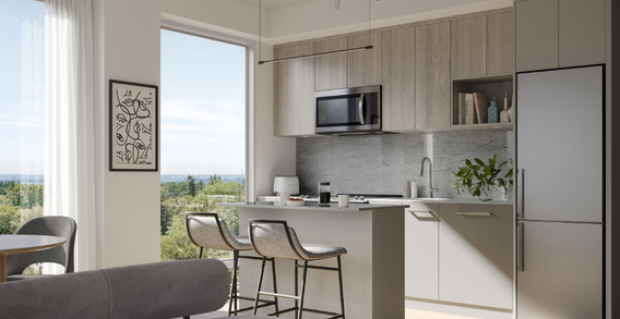 Kitchen design 