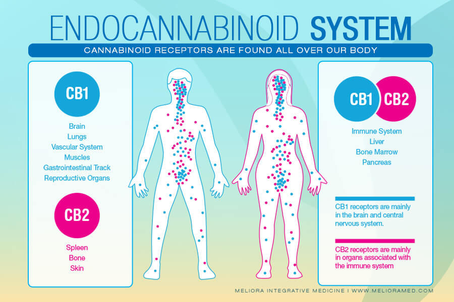 Thumbnail: CBD Softgels - Anytime Formula (30ct)