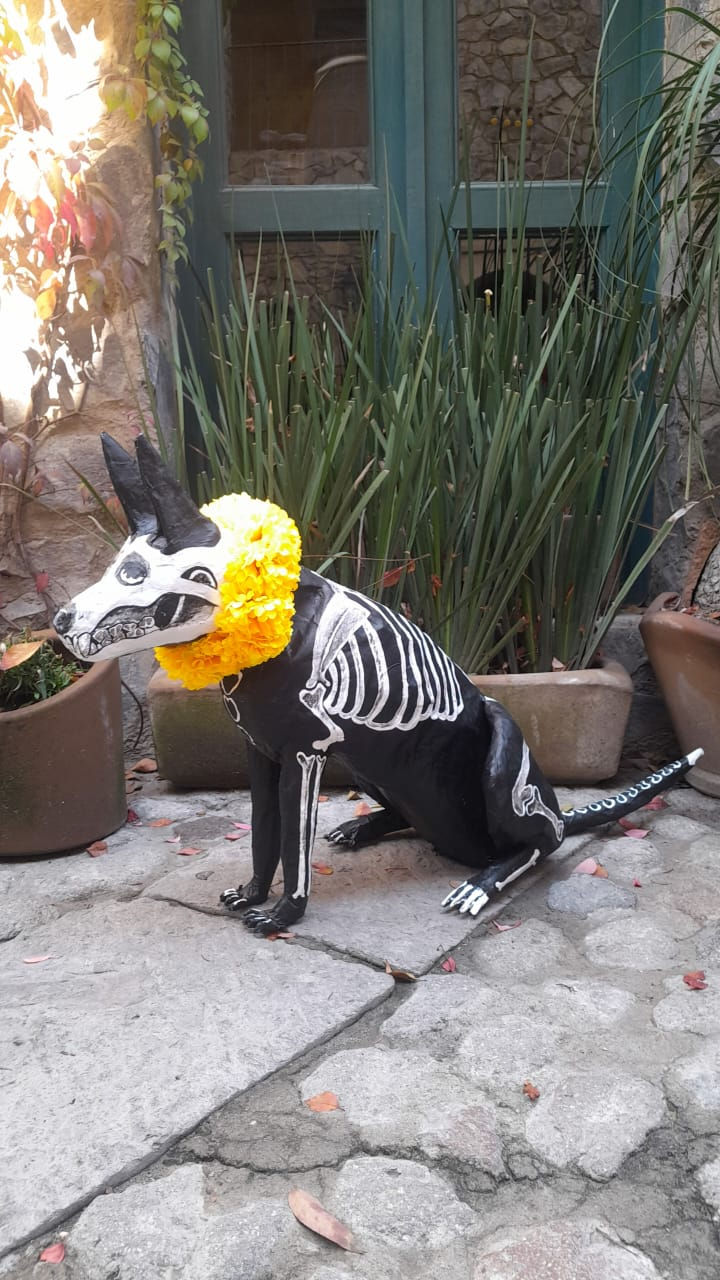 Perro Val'Quirio
