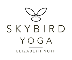 Skybird Logo Rebranding Layers_edited.pn