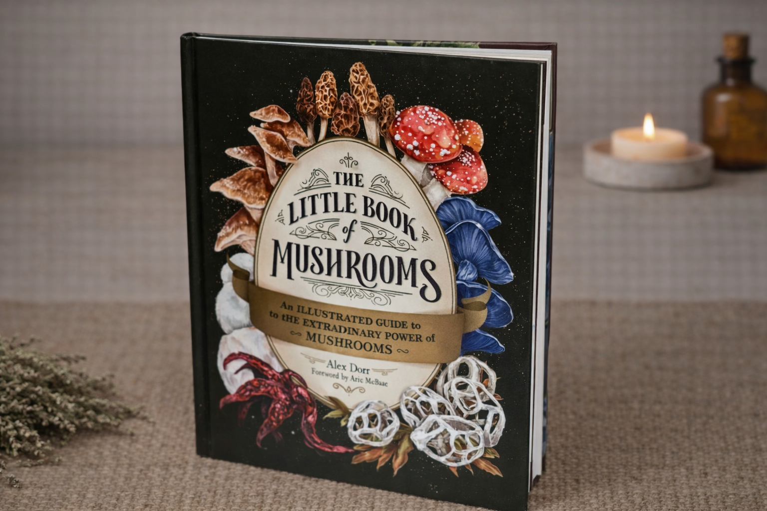 The Little Book of Mushrooms