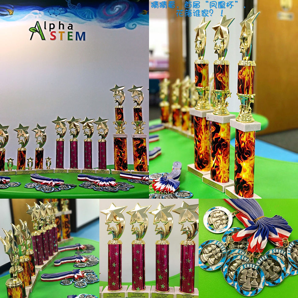 Phoenix Cup, Chess Tournament hosted by Phoenix Chess Club