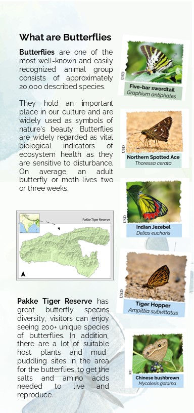 Thumbnail: Naturalist's Booklet