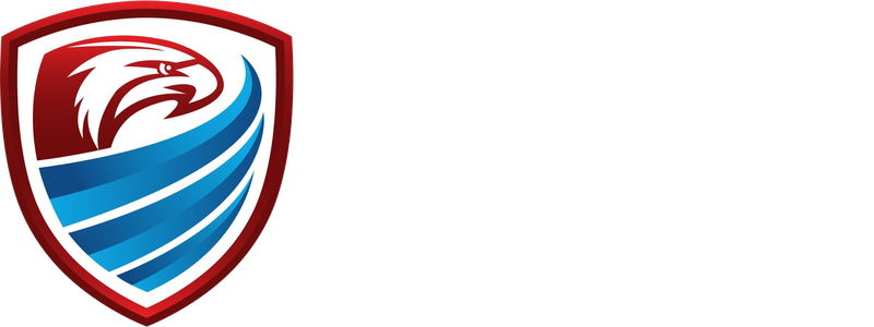 Blue Iron Sentinel