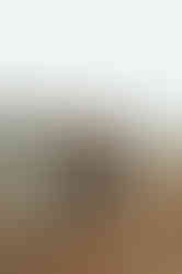 Dreamy Austin Texas maternity session