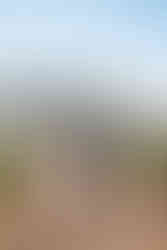 bride and groom during ceremony at the Jardin de france