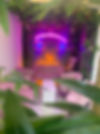 IMG_1943.jpeg