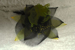 93 Mini chapeau gris souris & vert lime