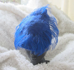 55 Plumes bleues Année 1920