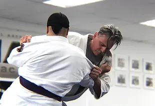 Budoshin jiujitsu