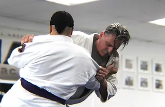 Budoshin jiujitsu