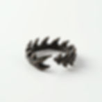 Anillo Garra Dragón