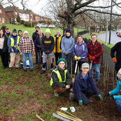 Volunteers plant 450-tree hedge to strengthen Newbury’s nature corridors
