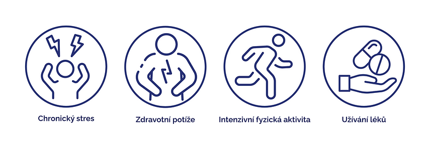 MAGNE B6 PRASEK (2).png